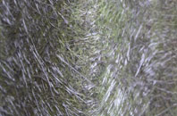 Porchester fibreglass roof work